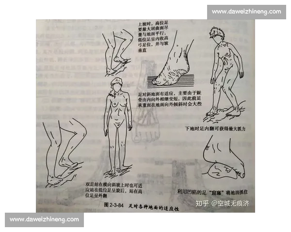科学系统提升运动能力的体育训练方法与实践策略研究