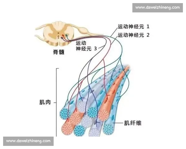 体育科学视角下运动训练方法优化与运动表现提升机制研究